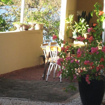 Le Cactus Guest House Baie-du-Tombeau Екстер'єр фото