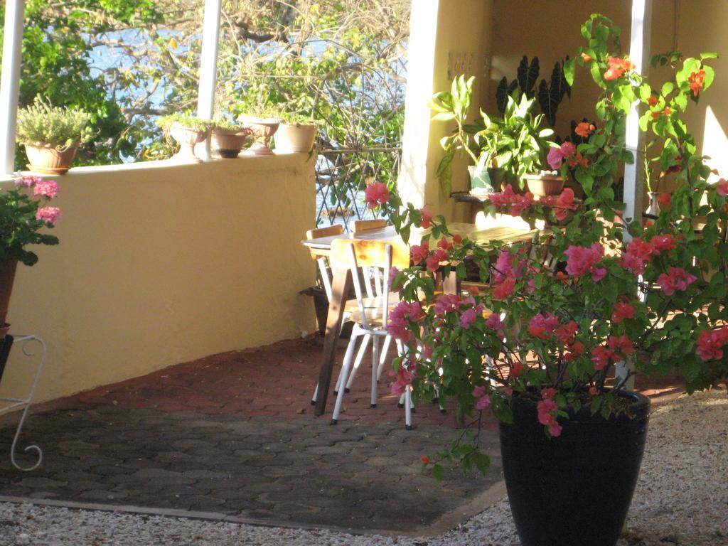 Le Cactus Guest House Baie-du-Tombeau Екстер'єр фото