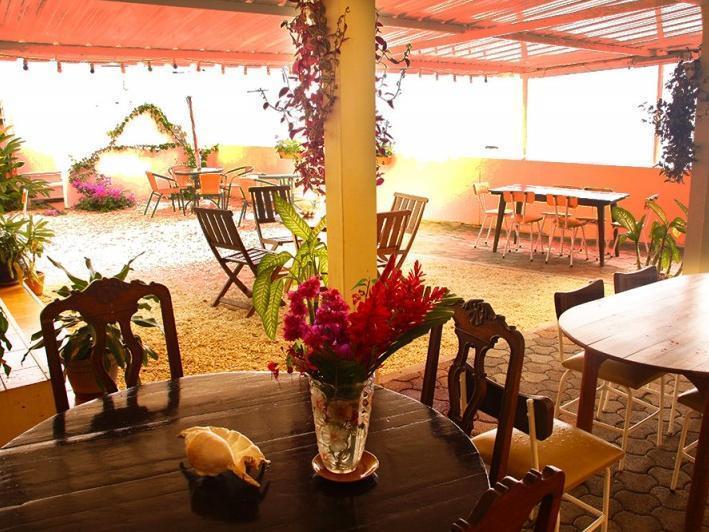 Le Cactus Guest House Baie-du-Tombeau Екстер'єр фото