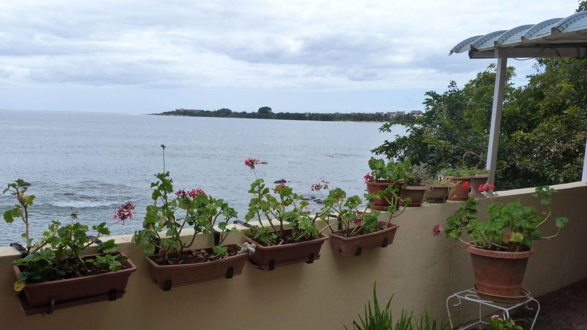Le Cactus Guest House Baie-du-Tombeau Екстер'єр фото