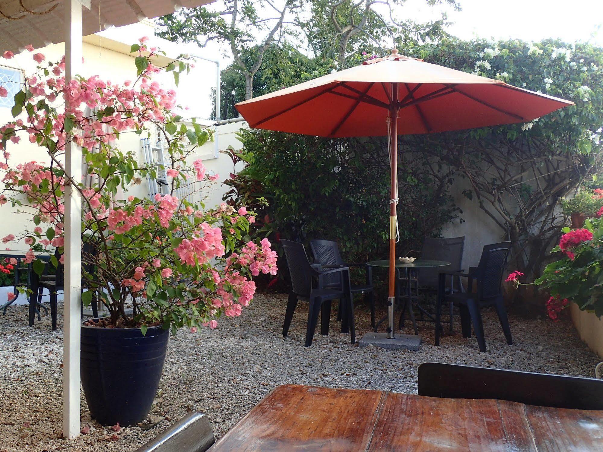 Le Cactus Guest House Baie-du-Tombeau Екстер'єр фото