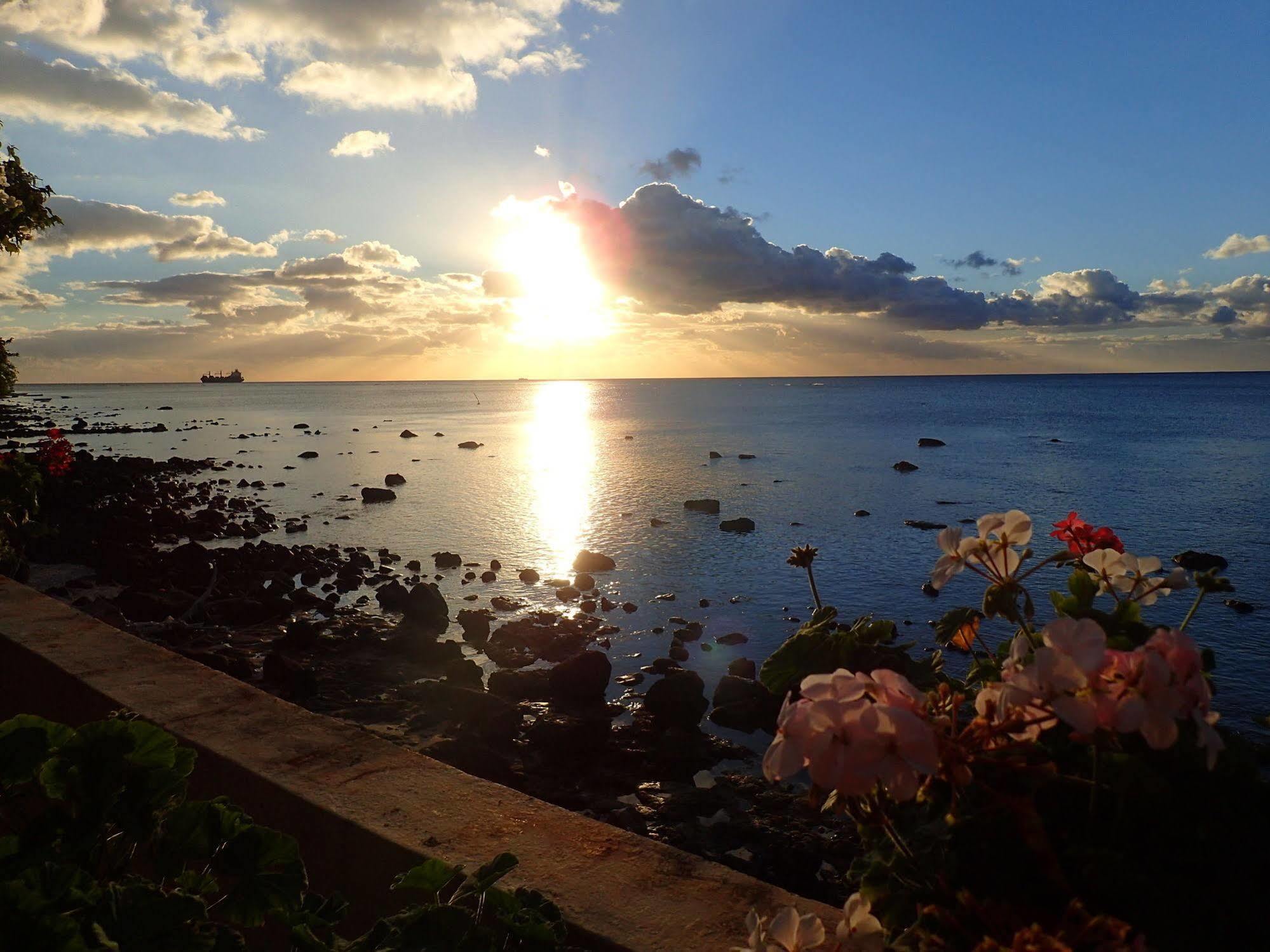 Le Cactus Guest House Baie-du-Tombeau Екстер'єр фото